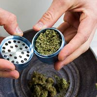 step1-rollwithit