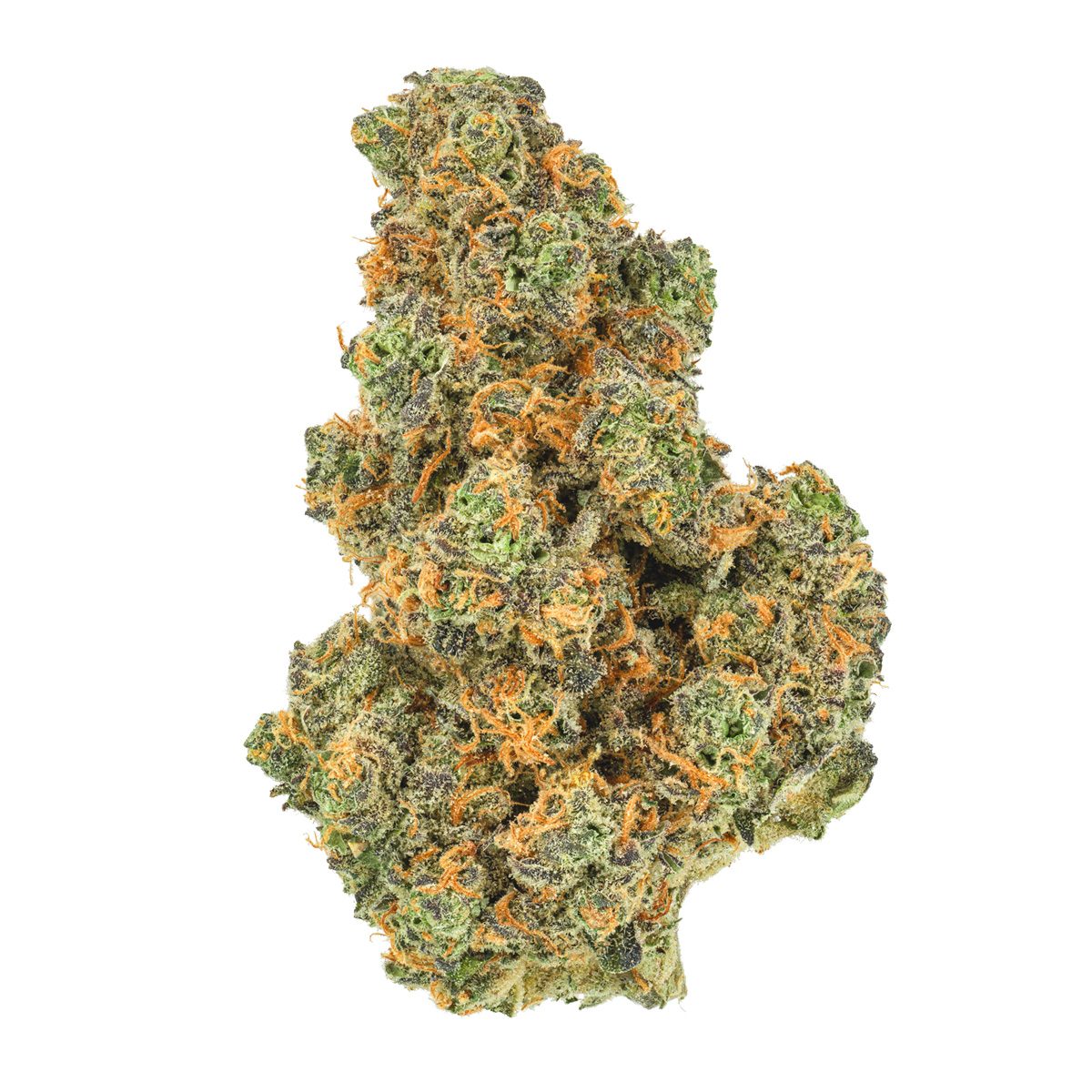 San Rafael 71 Pink Diesel - Image 2