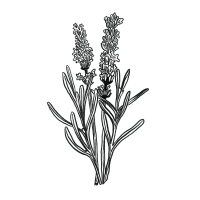 Linalool-Icon Linalool-Icon