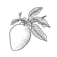 Myrcene-Icon Myrcene-Icon