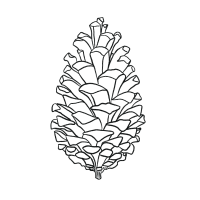 Terpinolene-Icon Terpinolene-Icon